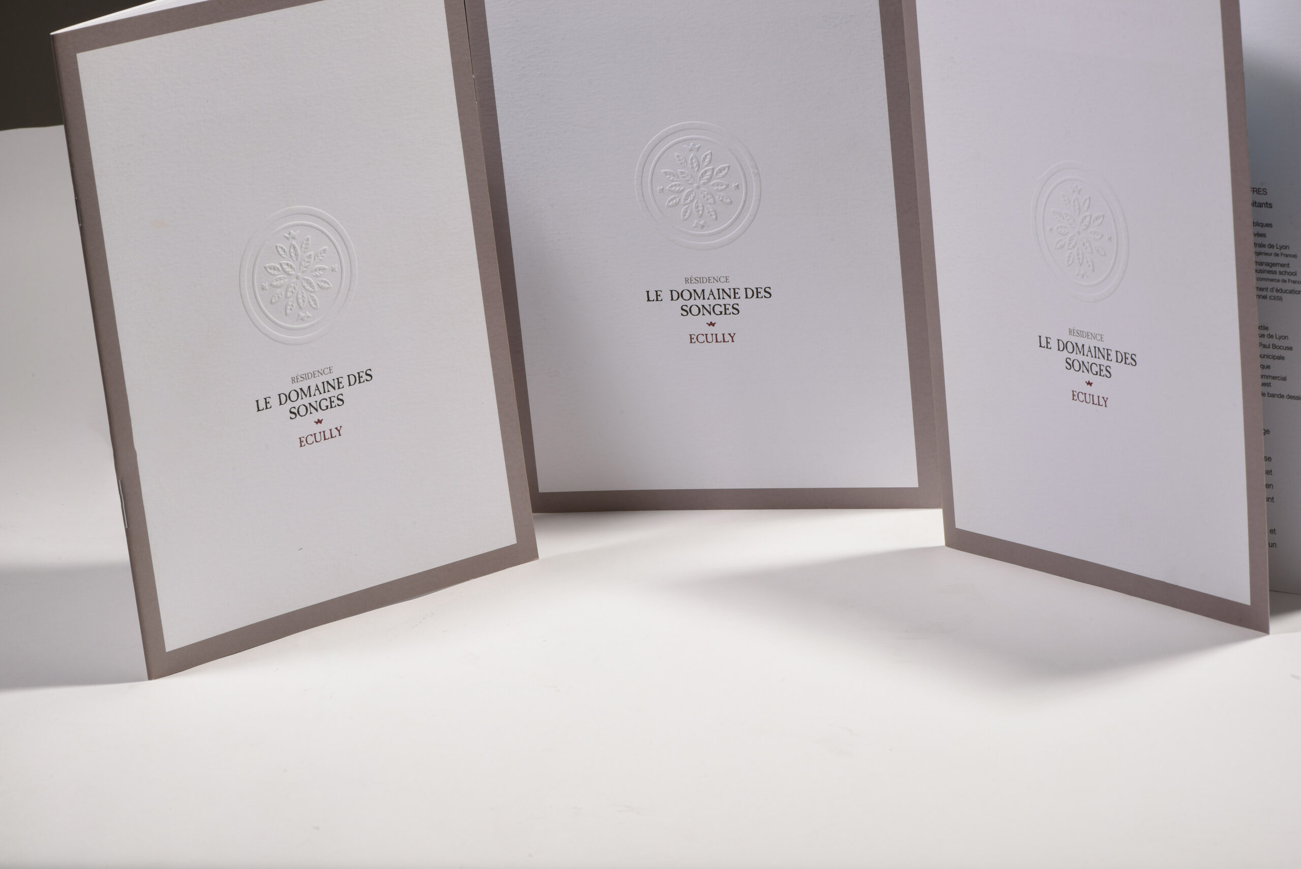 Création Le Studio D :  pour Domaine des Songes, quatrième visuel