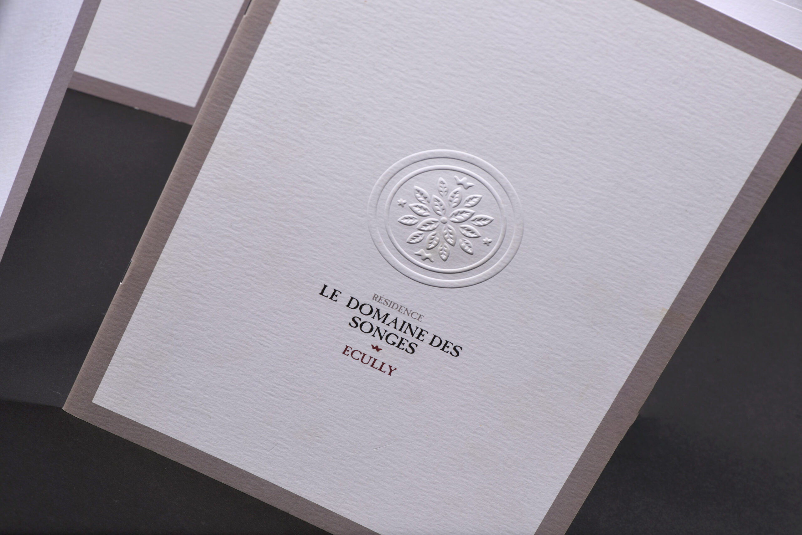 Création Le Studio D :  pour Domaine des Songes, deuxième visuel