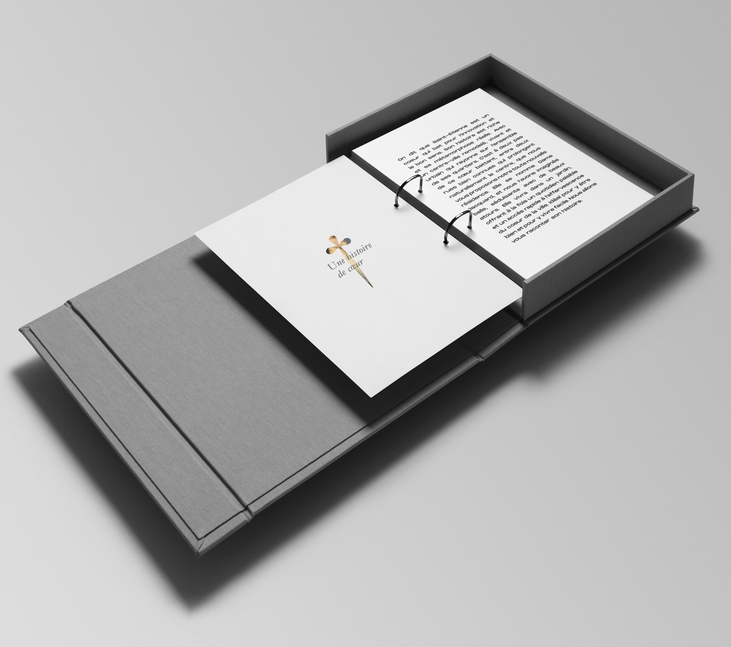 Création Le Studio D :  pour La Dame Jacquard, cinquième visuel