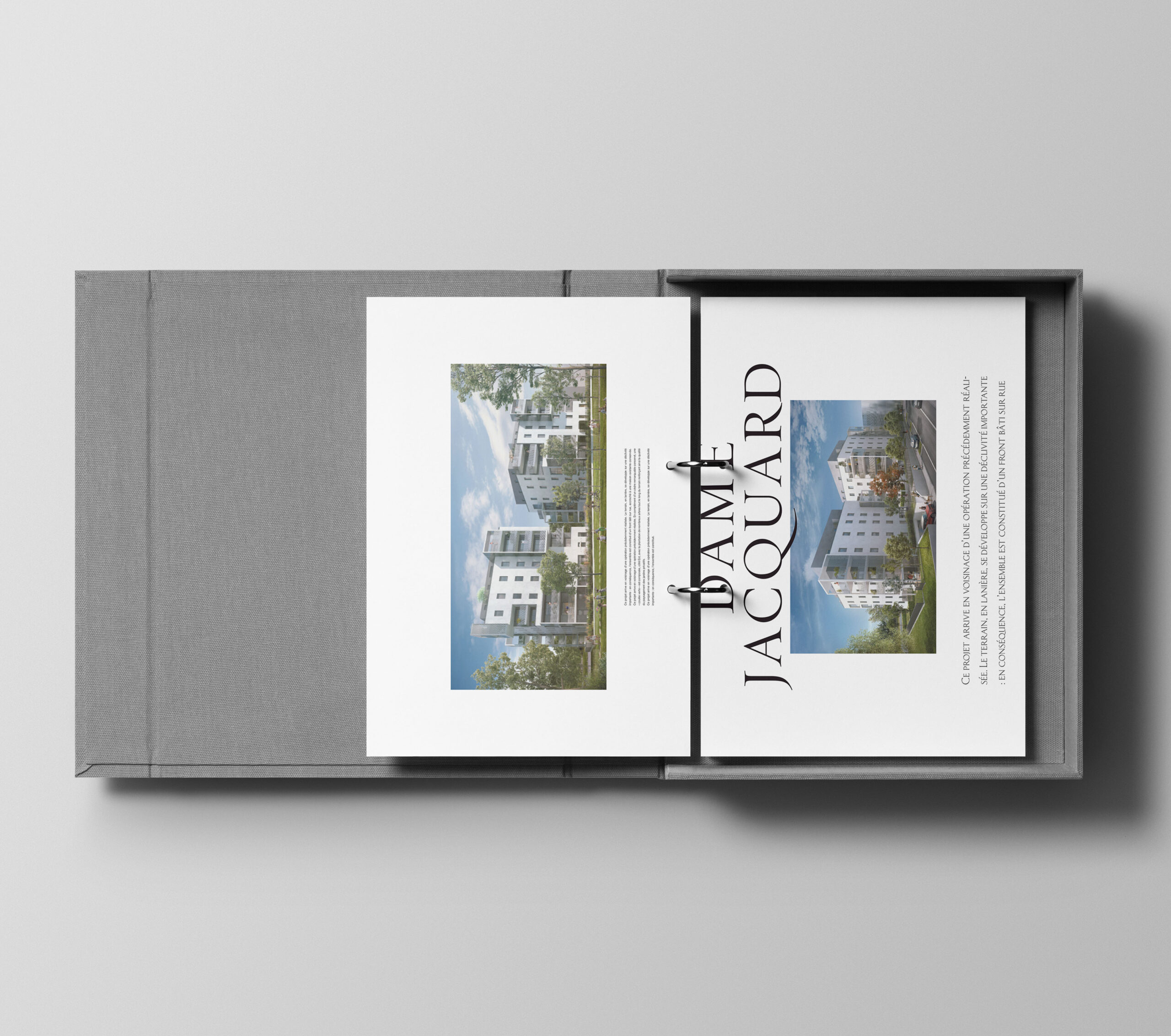 Création Le Studio D :  pour La Dame Jacquard, neuvième visuel