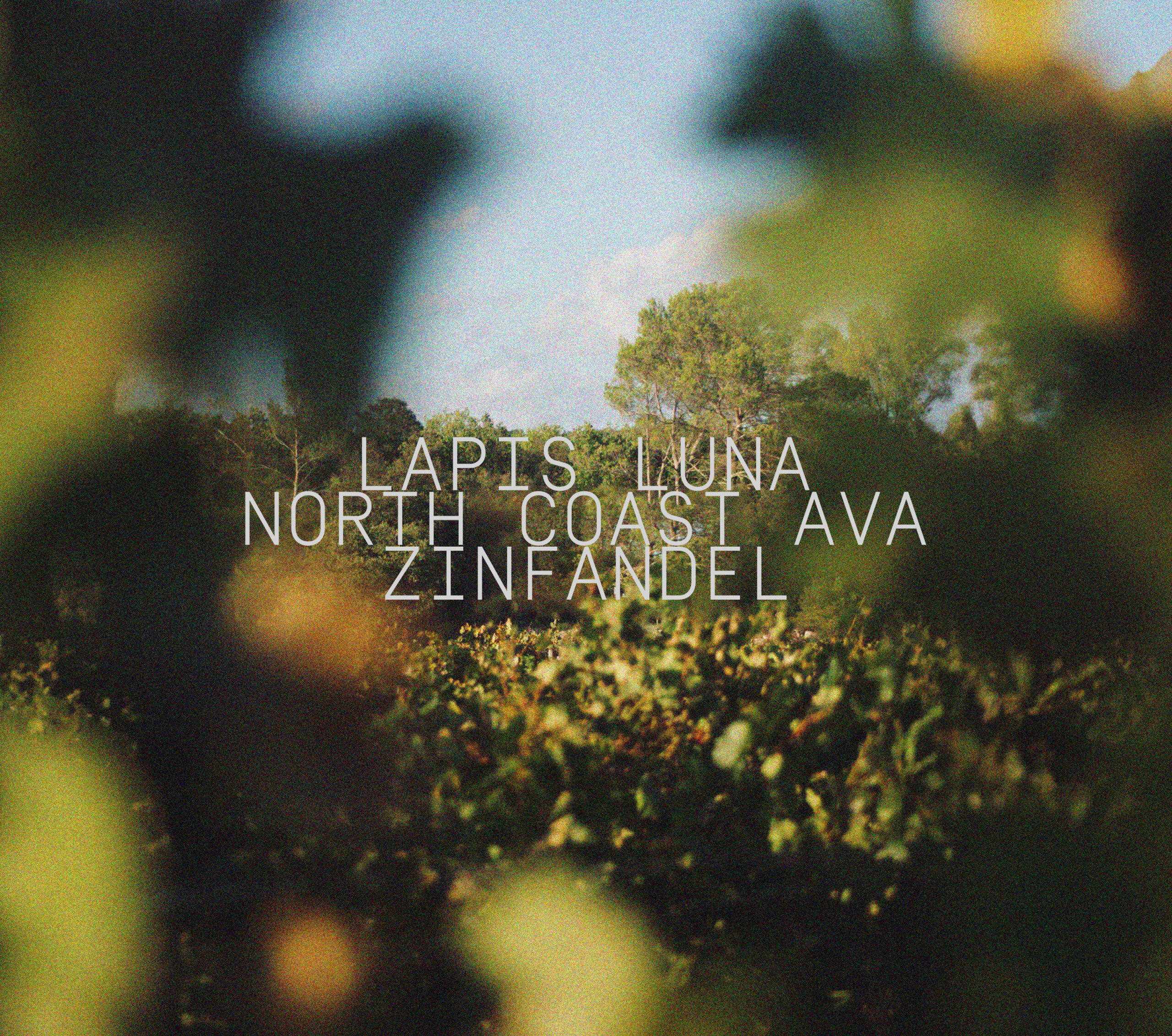 Création Le Studio D :  pour Label Wine, sixième visuel